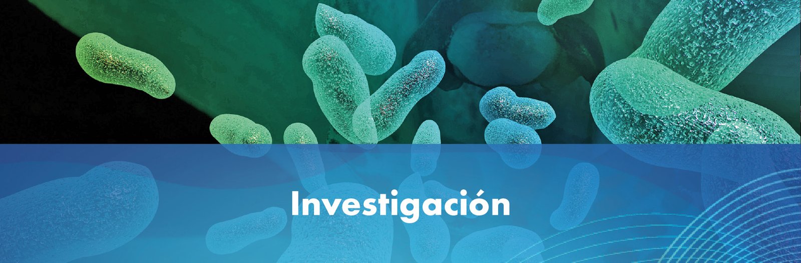 Investigacion